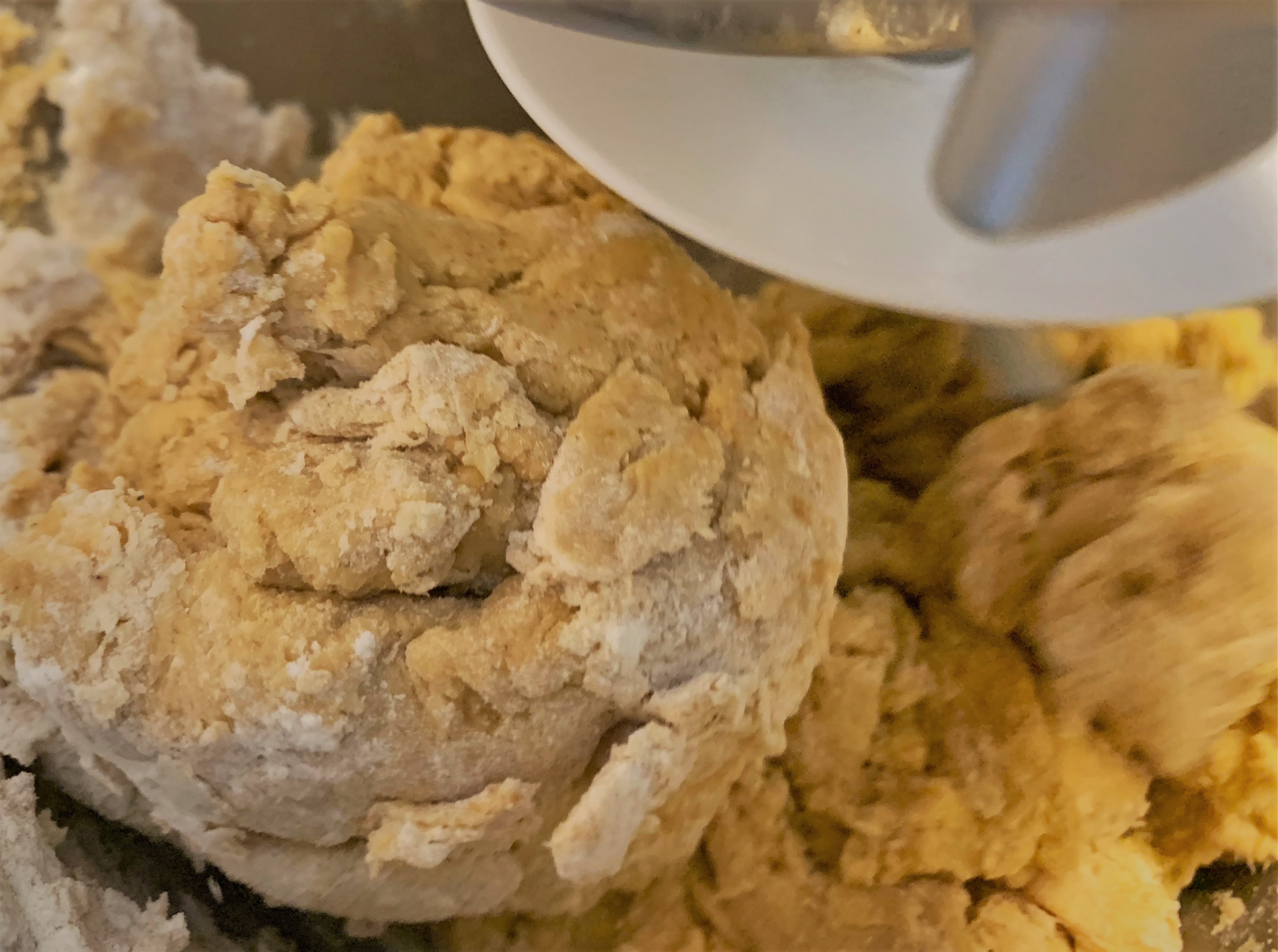 Kneading the dough