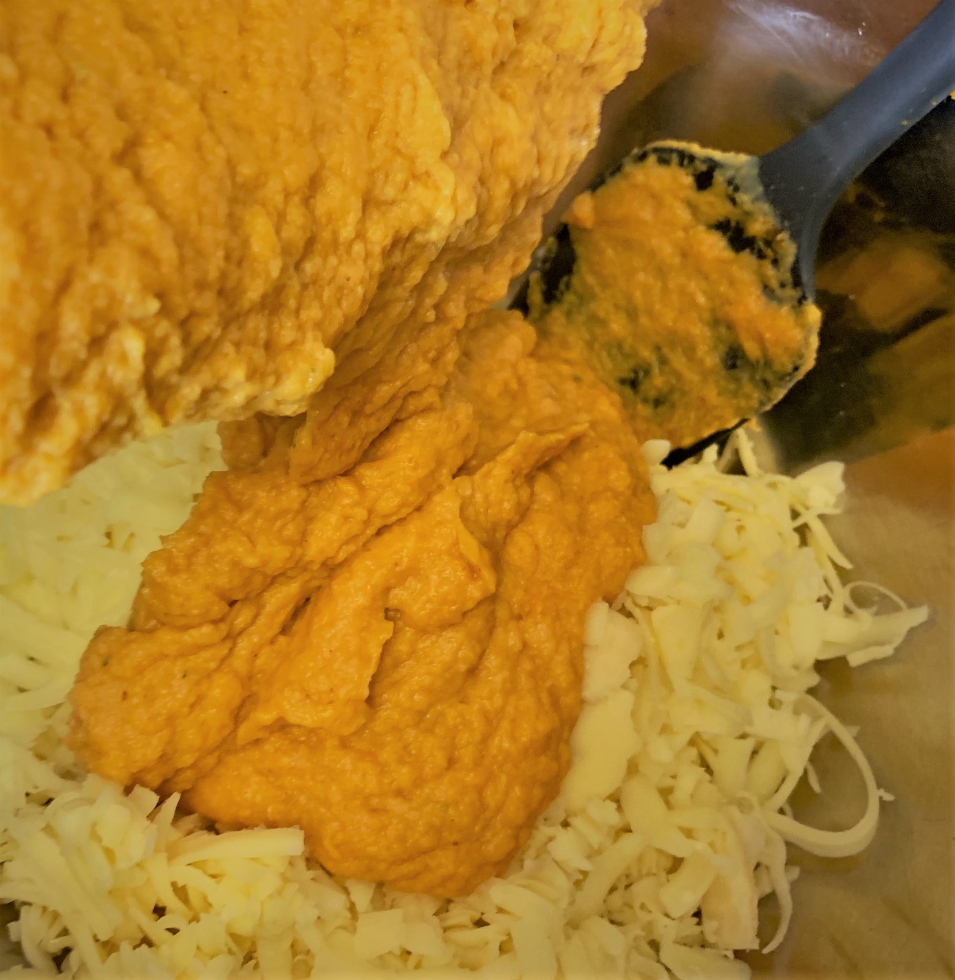 Adding the Pumpkin Bechamel to the Shredded Cheese for our Pumpkin Mac & Cheese