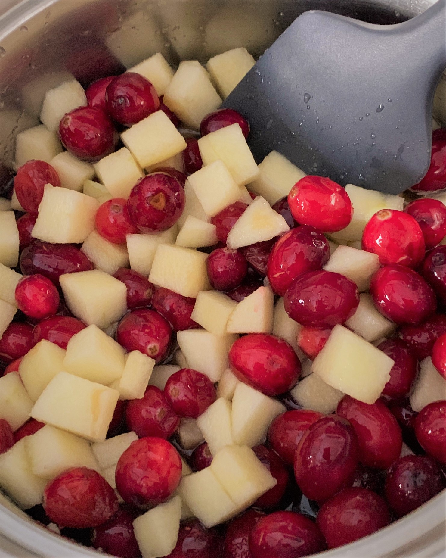 All the ingredients for our Apple-Cinnamon Cranberry Sauce in the pot