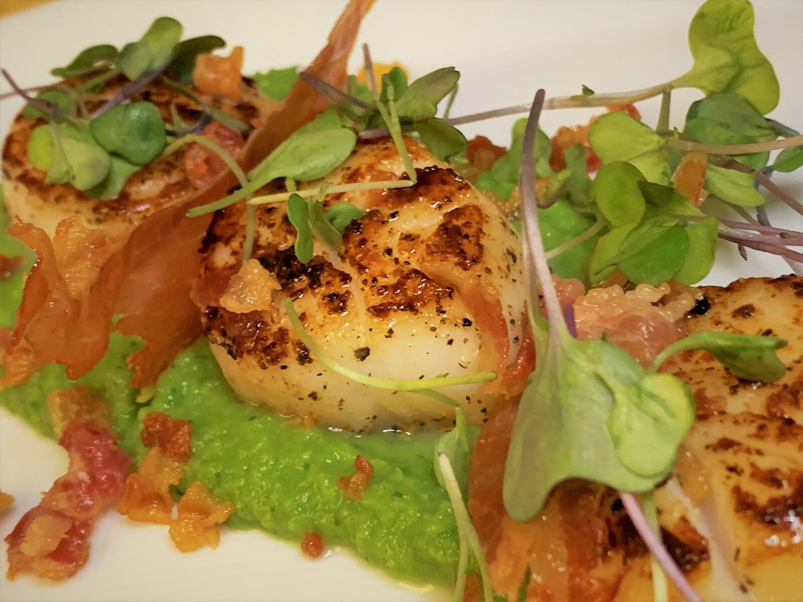 Our plated Pancetta Seared Scallops with Crispy Prosciutto & Minted Pea Puree