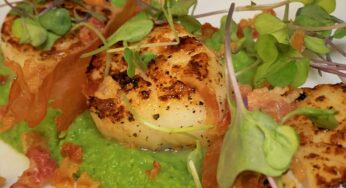 Pancetta Seared Scallops with Crispy Prosciutto & Minted Pea Puree