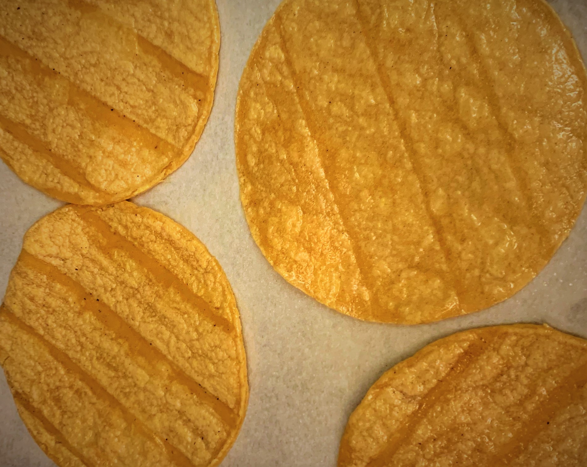 Our Corn Tortillas ready to go in the oven