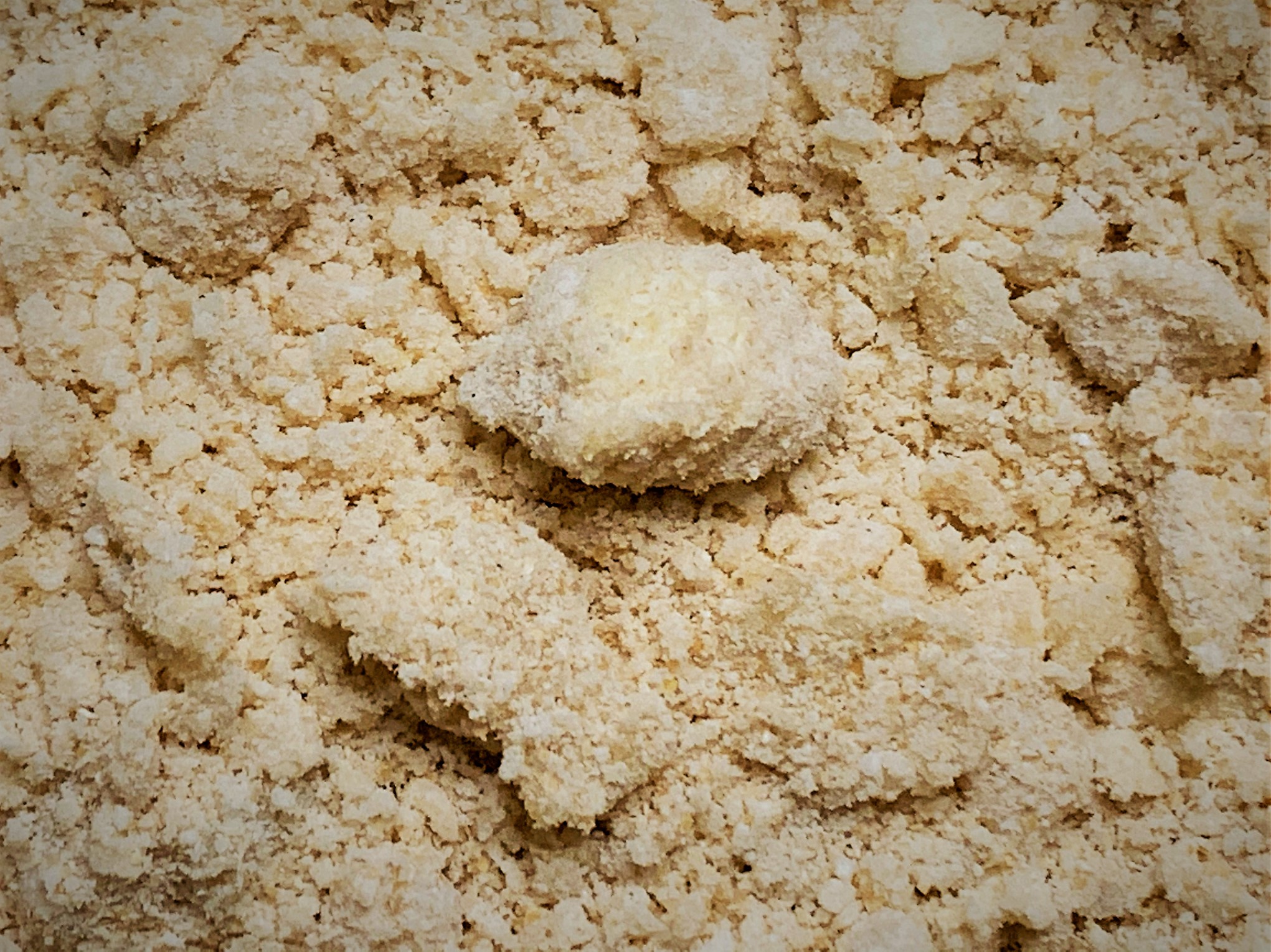 Biscuit Dough "Pebbles"