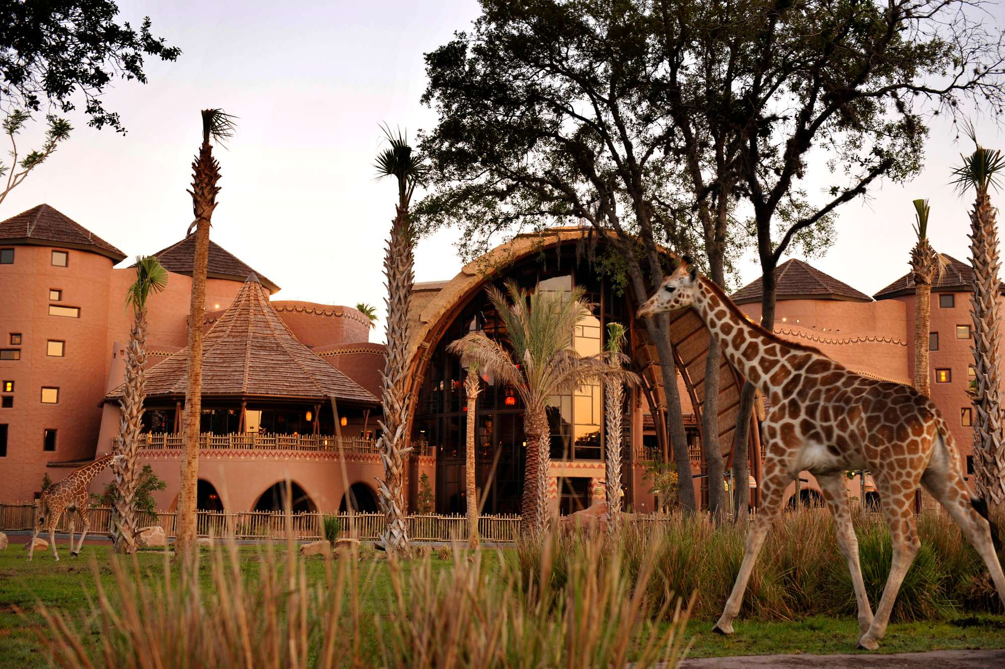 Disney's Animal Kingdom Lodge - Boma French Toast Bread Pudding with Pecan Praline Sauce