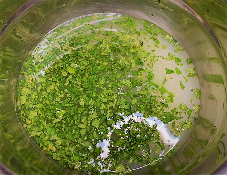 Lime-Mint Foam ingredients combined in a large bowl